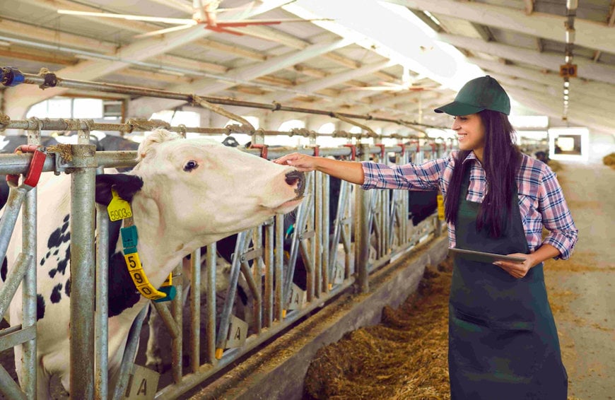 How Technology Improves Quality And Efficiency In Dairy Processing 